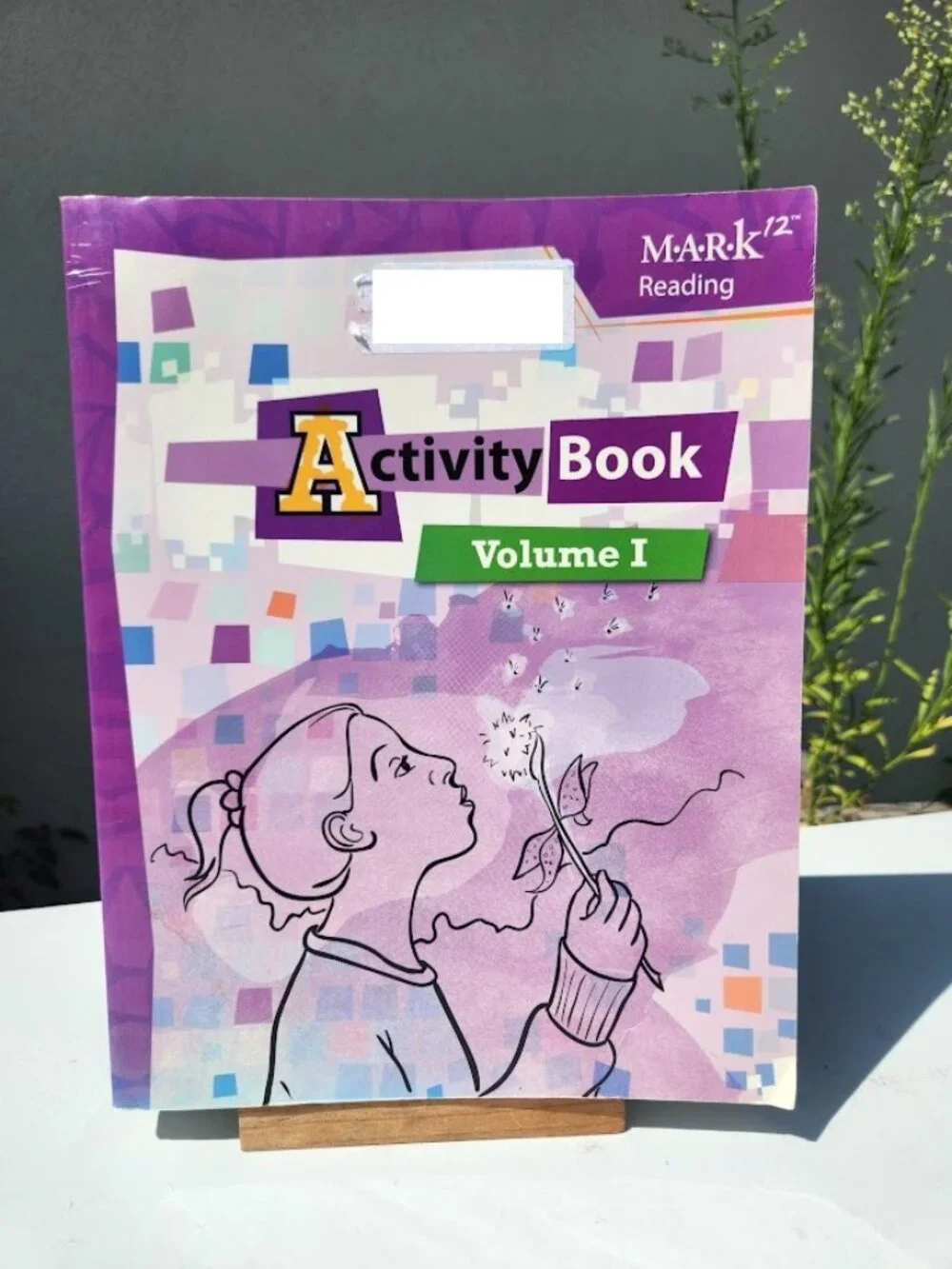 Mark12 Reading Activity Book Volume 1 Paperback Literature Curriculum Workbook S